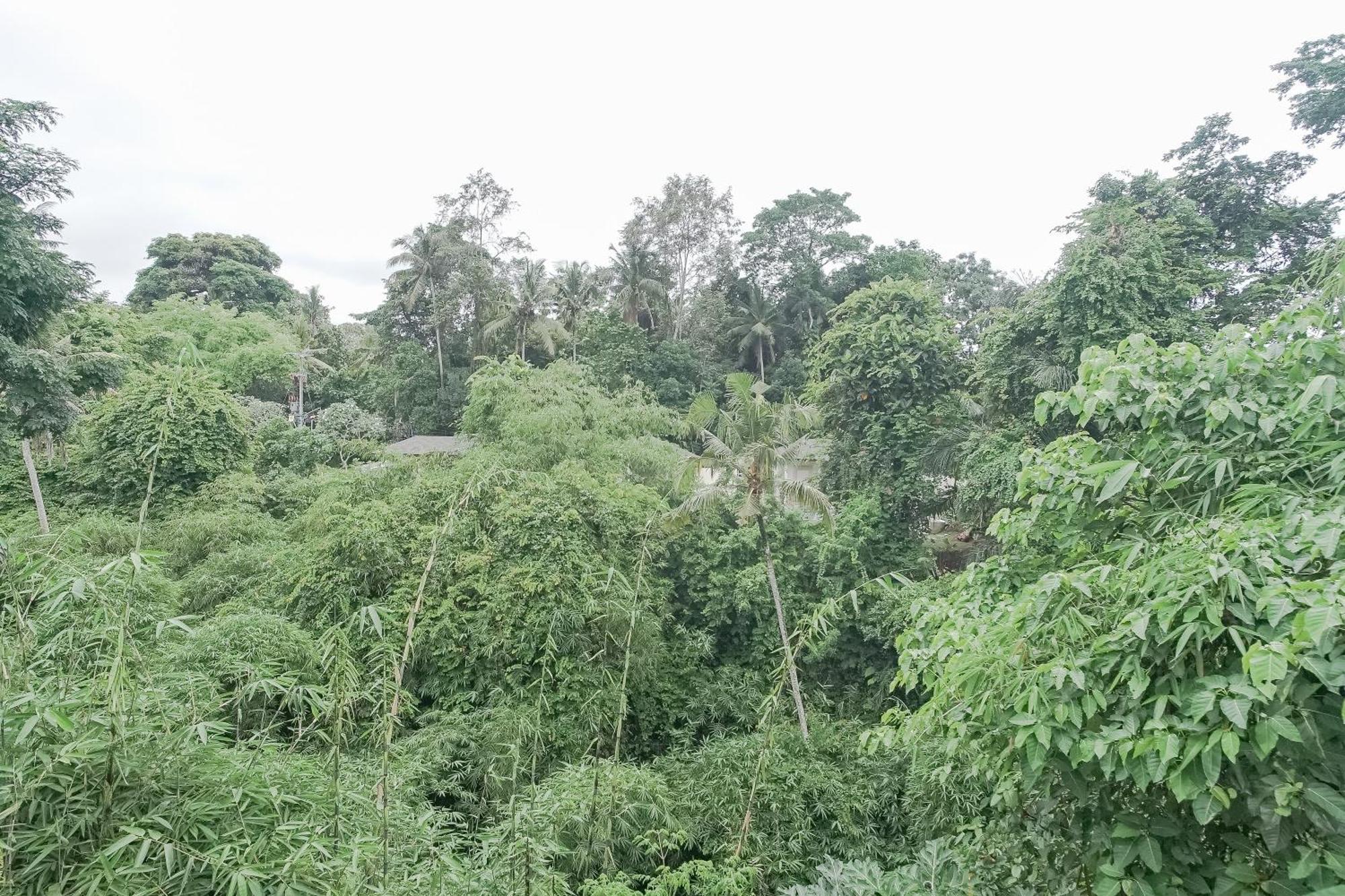 Giri Krisna Maison d'hôtes *